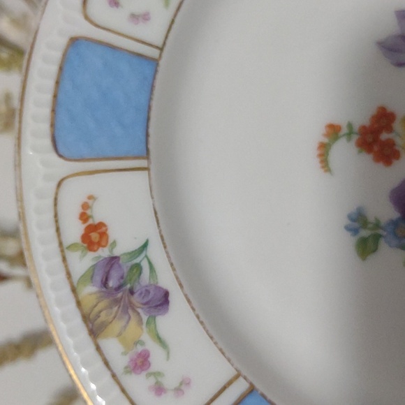 Antique Haas & Czjzek H.C. Schlaggenwald Black Knight Plate Gold Trim - Picture 6 of 11